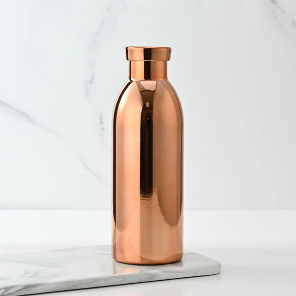 500 ml roestvrijstalen vacuümgeïsoleerde fles