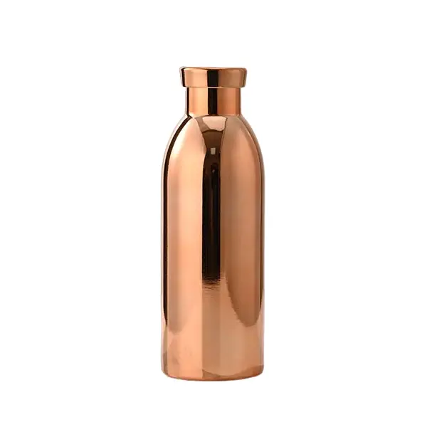 500 ml roestvrijstalen vacuümgeïsoleerde fles